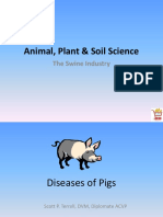 Swine Industry Guide: Diseases, Breeds, Management & Production