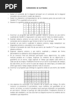 Ejercicios Arreglos Bidimencionales(2005-3)