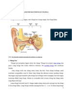 Tinnitus