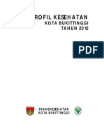 1375 Sumbar Kota Bukittinggi 2012 PDF
