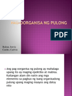 Pag Oorganisa NG Pulong