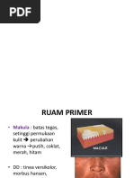 Ruam Primer Dan Sekunder