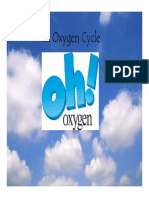 Oxygen Cycle PPT Slides PDF