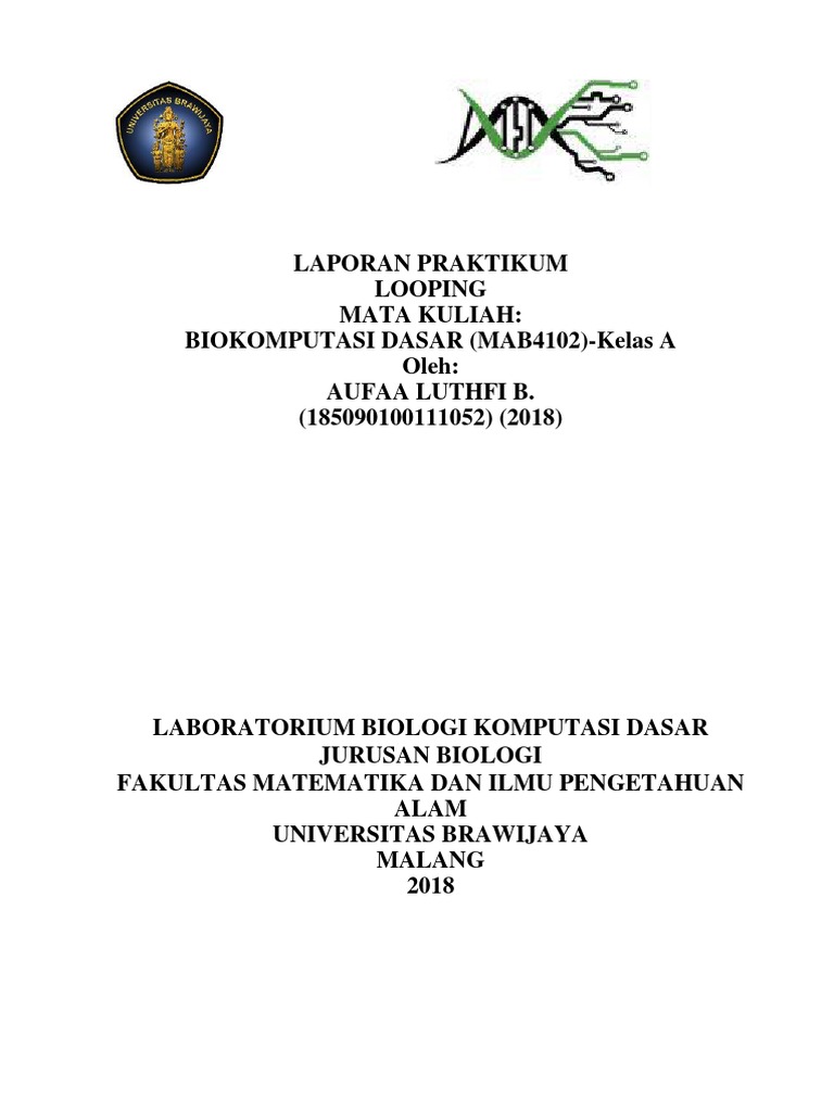 Memahami Looping dalam Pemrograman | PDF