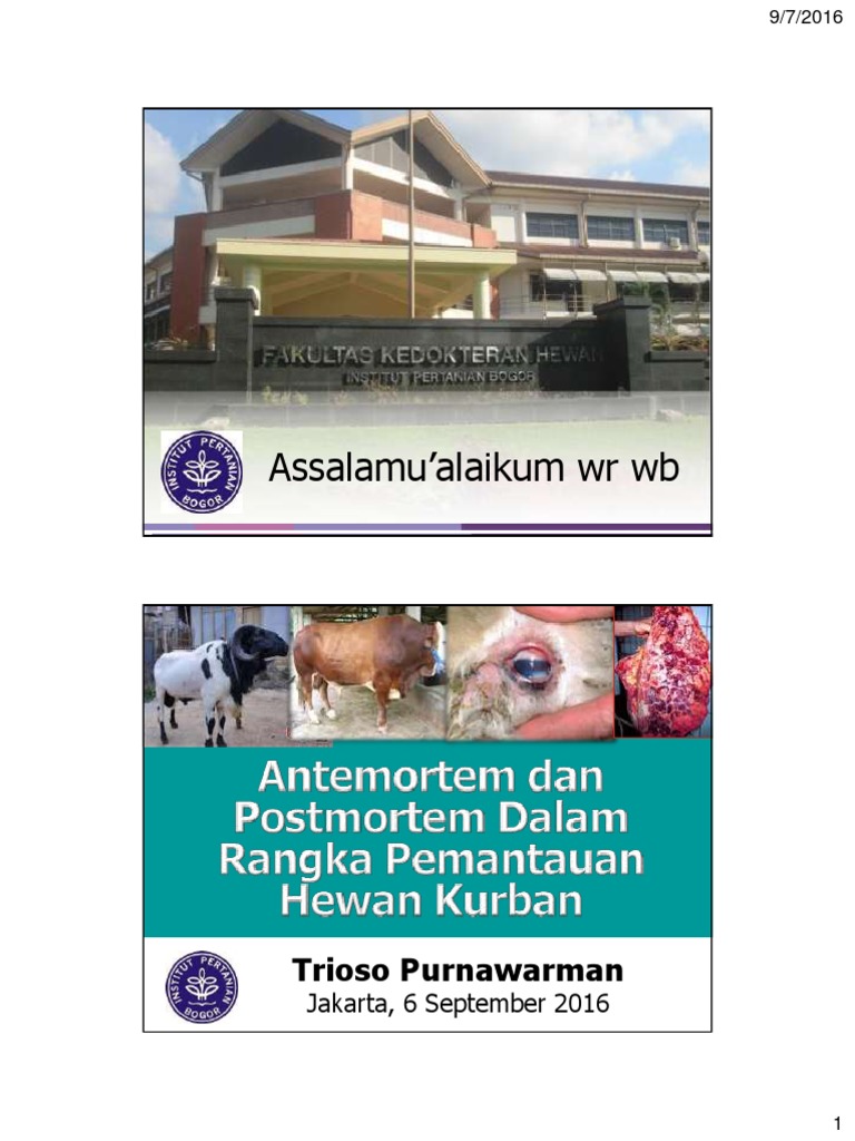 Pemeriksaan Antemortem dan Postmortem | PDF | Memasak, Makanan ...