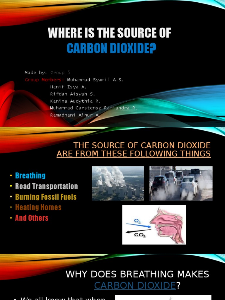 Where Does Carbon Dioxide Come From PDF