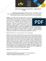 Peritonite Infecciosa Felina Não-Efusiva - Relato de Caso