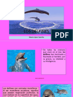 Los Delfines1