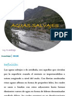 Aguas Salvajes