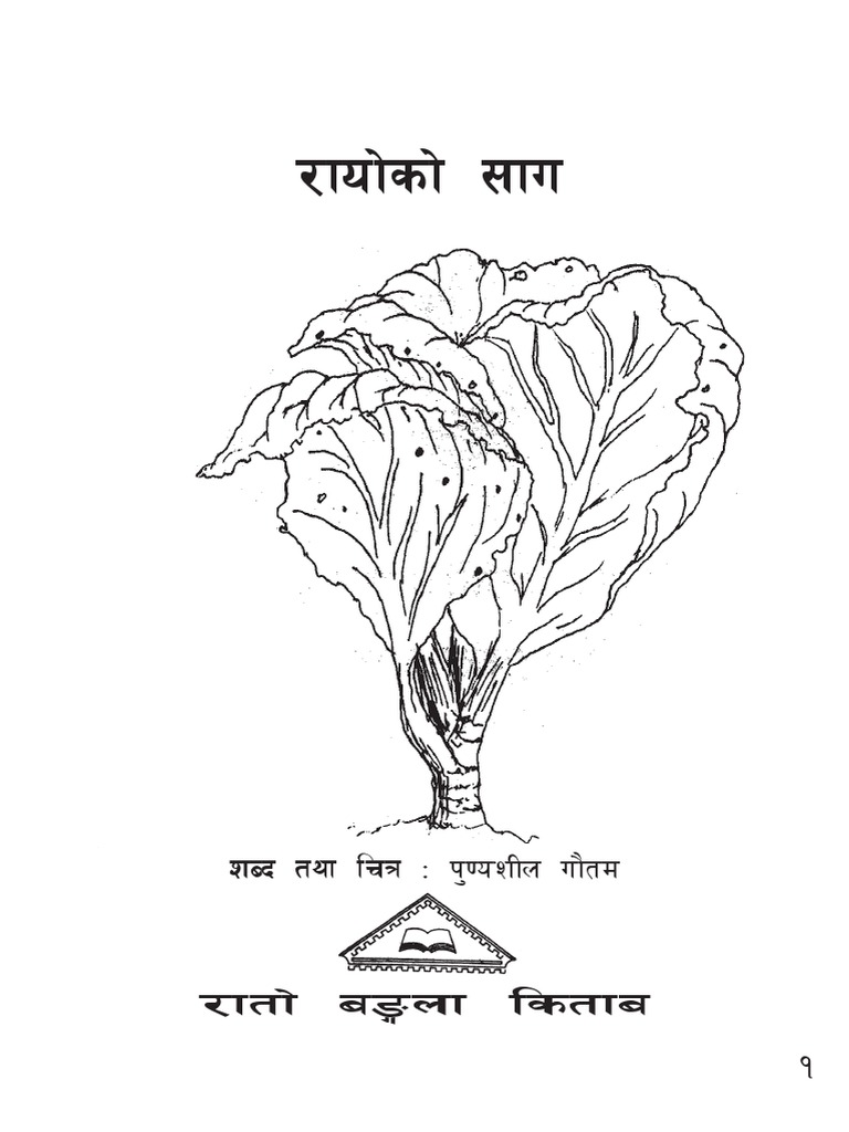 Rayo Ko Saag | PDF | Science & Mathematics | Computers