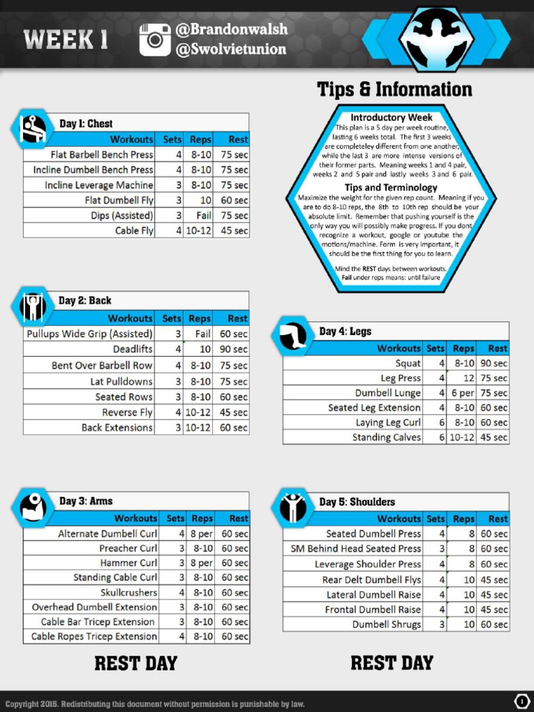 Guys Workout Plan Brandon Walsh Pdf