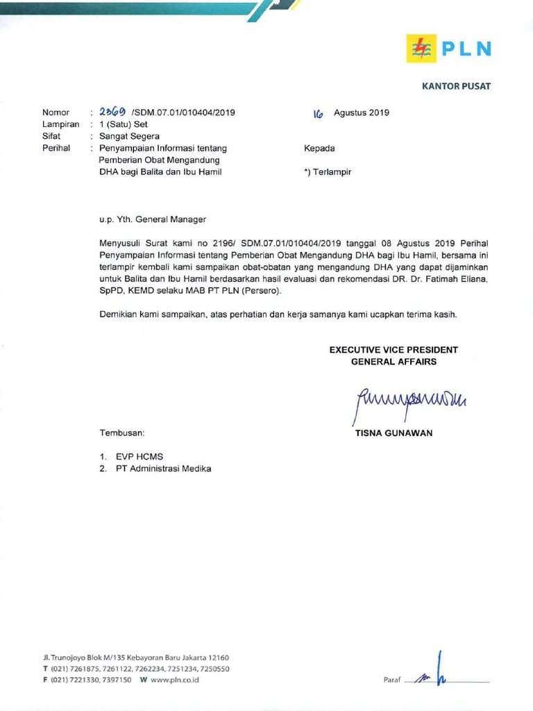 Informasi Ttg Pemberian Dha Bagi Balita Dan Ibu Hamilpdf