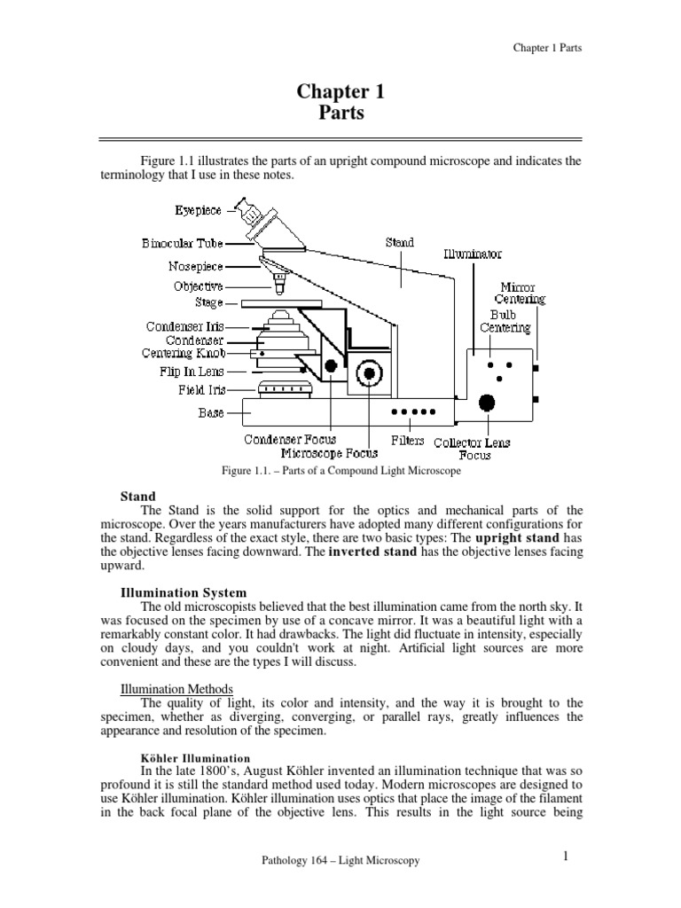 MicroscopyBasicsLite PDF | PDF | Microscopy | Lens (Optics)