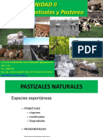 Pastizales y pastoreo: identificación de especies y métodos de producción forrajera