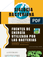 Exp. Microbiologia