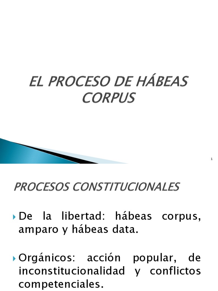 Procesos de Hábeas Corpus y Amparo | PDF | Habeas corpus | Principios ...