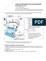 Geneticat3-4 11328