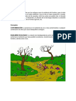 La Contaminación Primaria