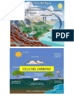 ciclos biogeoquimicos.docx