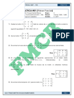 Practica 01 MAT103 II-2019 PDF