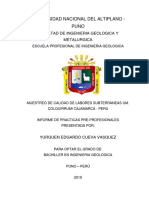 111 INFORME DE PRACTICAS 07-05-19 Aprobado PDF