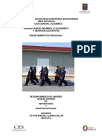 263878623-Instruccion-Policial.pdf