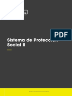 Sistema de Proteccion Social II