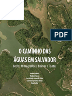 Caminho Das Aguas