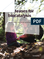 Proteases For Biocatalysis: For Smarter Chemical Synthesis
