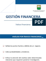 Índices Financieros PDF