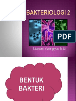 Bakteriologi