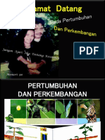 C. .Pertumb. Dan Perkemba (Revisi)