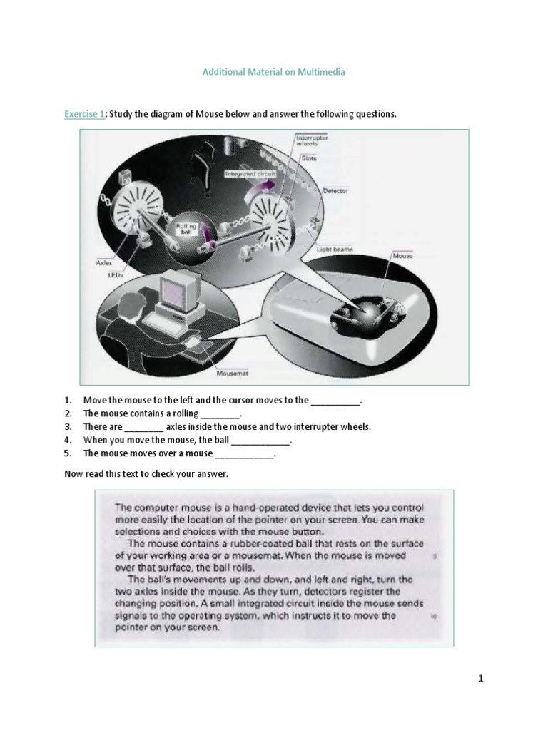 Multimedia Mouse and Keyboard Exercises | PDF | Teaching Methods ...