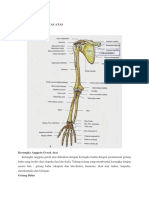 TULANG EKSTREMITAS ATAS DAN OTOTNYA