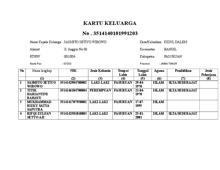 Vites ozgartirish tugmasi ustida mushuk bilan otirgan jojaning videosi