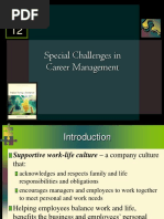 Special Challenges in Career Management: Mcgraw-Hill/Irwin