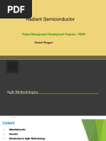 Radiant Semiconductor: Project Management Development Program - PMDP