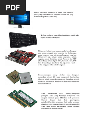 Katta eshak bilan qattiq gangbang