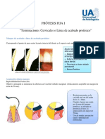 Terminaciones Cervicales 2019