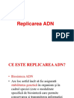 8. Replicarea