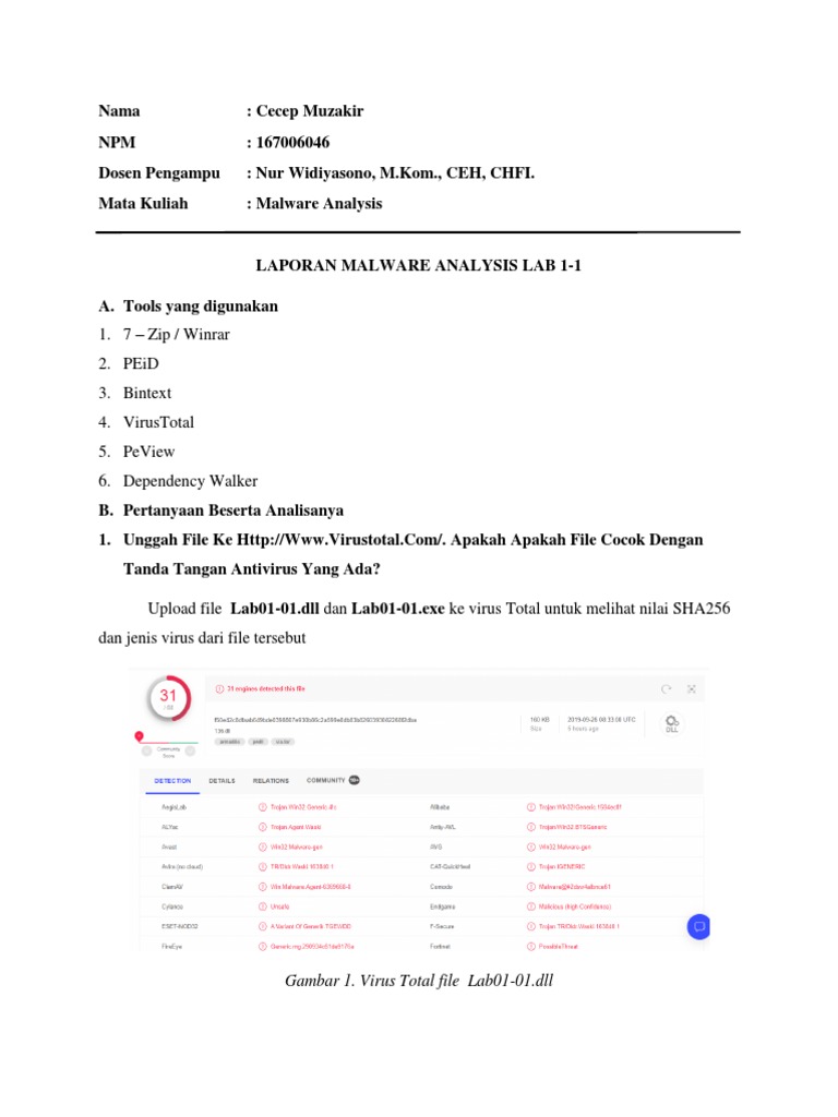 Malware Analysis LAB 1 | PDF