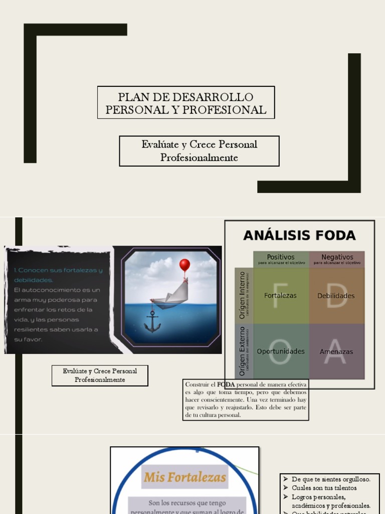 Plan de Desarrollo Personal y Profesional | PDF | Planificación | Economias