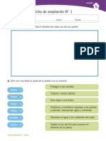 Las Plantas PDF