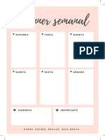 Planner Semanal Feminino PDF
