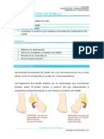 Rehabilitaciontobillo 170412024813 PDF