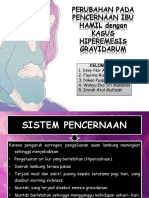 Perubahan Pada Pencernaan Ibu Hamil Dengan Kasus Hiperemesis