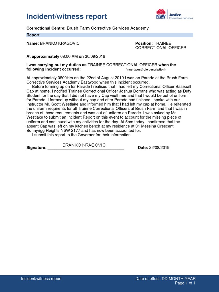 Incident Witness Report - Branko Kragovic 30-09-2019 | PDF | Politics | Law