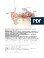 Analizator Acustico-Vestibular