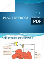 4.7 Plant Reproduction