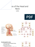 Arteries of The Head and Neck